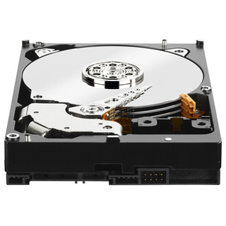 Western Digital 西部数据 金盘系列 台式机硬盘 10TB（SMR、7200rpm、256MB）WD102VRYZ