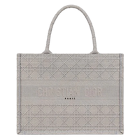 Dior 迪奥 BOOK TOTE系列 女士小号手袋 M1296ZREY_M950 灰色