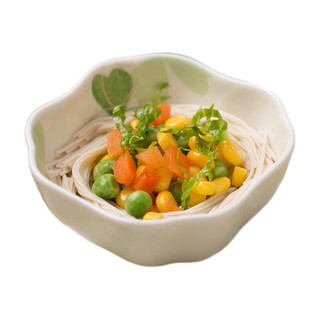 Enoulite 英氏 美食加系列 婴幼儿营养面 三文鱼胡萝卜味 240g