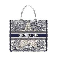 Dior 迪奥 BOOK TOTE系列 女士手提托特包 M1286ZATW_M941 蓝色