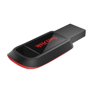 SanDisk 闪迪 酷皓系列 SDCZ61-016G-Z35 USB 2.0 U盘 黑色 16GB USB+挂绳+Type-C转接头