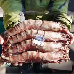 mr seafood 京鲜生 巨型黑虎虾  净重750g-800g 14-16个头 长18cm