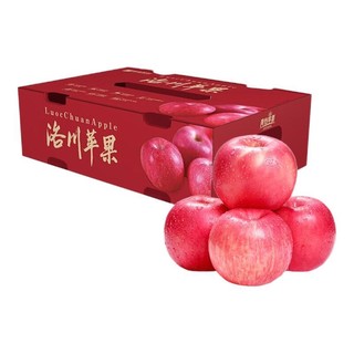 京觅 洛川苹果 青怡陕西红富士净重1.75kg 单果135g起 新鲜水果礼盒