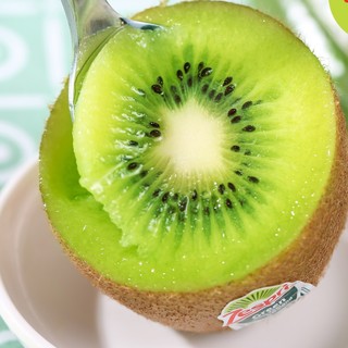 Zespri 佳沛 奇异果 大果 单果124g-134g 10个装