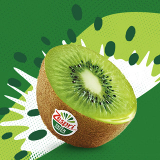 Zespri 佳沛 奇异果 大果 单果124g-134g 10个装