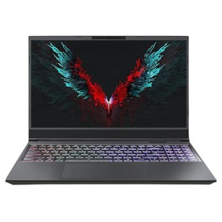 Shinelon 炫龙 T3Ti 15.6英寸 游戏本 黑色(酷睿i7-9750H、GTX 1660Ti 6G、8GB、512GB SSD、1080P、IPS）