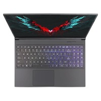 Shinelon 炫龙 T3Ti 15.6英寸 游戏本 黑色(酷睿i7-9750H、GTX 1660Ti 6G、8GB、512GB SSD、1080P、IPS）