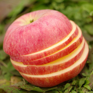 HUABEIQIANG 華北強 山西红富士苹果 5kg