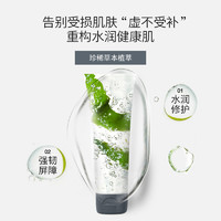 dermalogica 德美乐嘉草本修护面膜保湿舒缓补水深层修护屏障