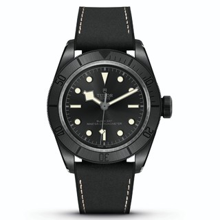 TUDOR 帝舵 Black Bay 41毫米自动上链腕表 m79210cnu-0001