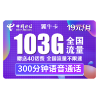 CHINA TELECOM 中国电信 翼牛卡 19元/月（73G通用流量+30G定向流量+300分钟国内通话）