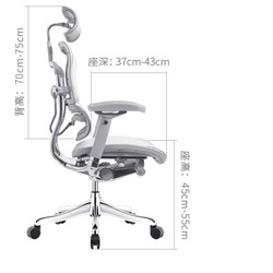 Ergonor 保友办公家具 金豪e精英版 人体工学椅