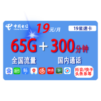 CHINA TELECOM 中国电信 星速卡 19元月租（35G全国流量+30G定向流量+300分钟国内通话）