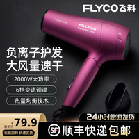 FLYCO 飞科 FH6618 负离子吹风机