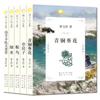 《曹文轩文集》（套装共5册）