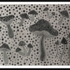 维格列艺术 草间弥生《蘑菇》22.1x29.5cm 蚀刻版画 家居搭配挂画