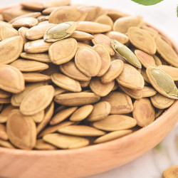 童年记南瓜子108g两份减35元