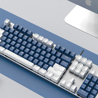 PHILIPS 飞利浦 SPK8404 108键 有线机械键盘 白深蓝拼色 国产茶轴 混光