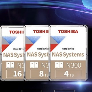 TOSHIBA 东芝 N300系列 3.5英寸 NAS硬盘 10TB（CMR、7200rpm、256MB）HDWG11A