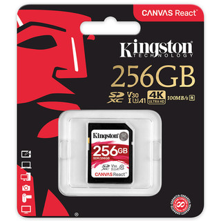 Kingston 金士顿 SDR SD存储卡 256GB（UHS-I、V30、U3、A1）