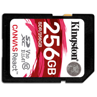 Kingston 金士顿 SDR SD存储卡 256GB（UHS-I、V30、U3、A1）