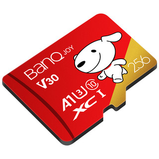 BanQ U1 PRO 京东JOY联名款 Micro-SD存储卡 256GB（UHS-I、V30、U3、A1）