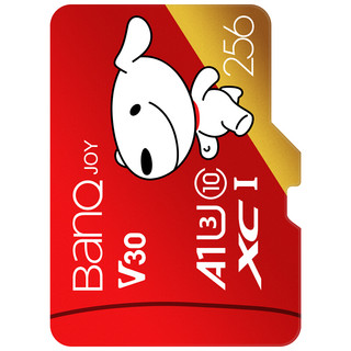 BanQ U1 PRO 京东JOY联名款 Micro-SD存储卡 256GB（UHS-I、V30、U3、A1）