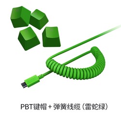 RAZER 雷蛇 双色注塑PBT键帽+弹簧线缆升级套装 120键