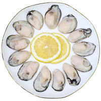 PLUS会员：XIANBOHUI 鲜博汇 牡蛎肉海蛎子 500g 30-40个袋
