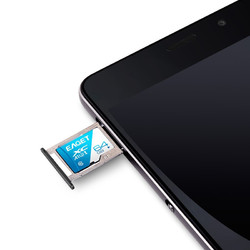 EAGET 忆捷 T1 蓝白卡 Micro-SD存储卡 64GB
