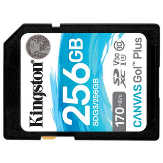 Kingston 金士顿 SDG3系列 SD存储卡 256GB（UHS-I、V30、U3）