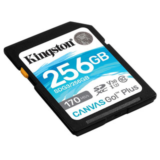 Kingston 金士顿 SDG3系列 SD存储卡 256GB（UHS-I、V30、U3）