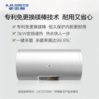 AO史密斯 60升80升免换镁棒款智能速热节能家用电热水器E0系列 60升 美国灰