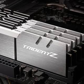 G.SKILL 芝奇 Trident Z三叉戟 DDR4 3200MHz 台式机内存 马甲条 雪映白 64GB 16GB*4 F4-3200C14Q-64GTZSW