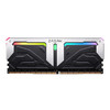 ZADAK 扎达克 DDR4 3600MHz RGB 台式机内存 灯条 银黑 32GB 16GB*2 ZD4-SPR36C25-32GYB2