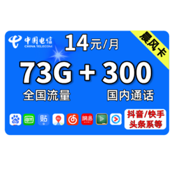 CHINA TELECOM 中国电信 电信晨风卡 14包每月73G国内+300分钟 低月租大流量不限速
