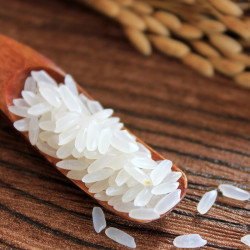 查哈阳大米当季新米查哈阳大米25kg东北大米50斤百年寒地金奖长粒香