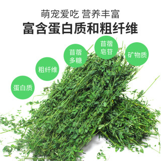 喜帅烘干紫花苜蓿草幼兔兔粮新鲜牧草干草兔子龙猫荷兰猪苜蓿草粮食饲料箱装1kg 报价价格评测怎么样 什么值得买