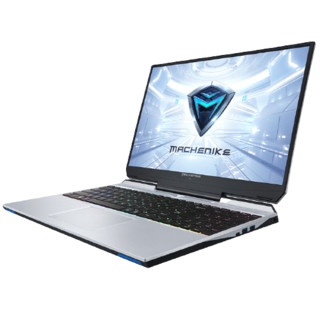 MACHENIKE 机械师 F117-V 15.6英寸 游戏本 银色 (酷睿 i7-10750H、GTX 1650Ti 4G、8GB、512GB SSD、1080P、IPS、144Hz）