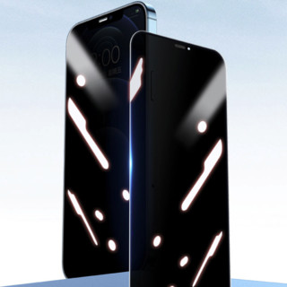ESR 亿色 苹果 iPhone 12 Pro Max 防窥防尘钢化前膜
