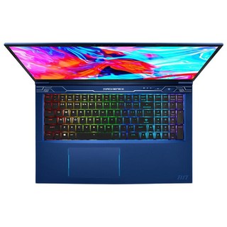 MACHENIKE 机械师 F117-FPE 17.3英寸 蓝色 (酷睿i7-9750H、RTX 2070 8G、32GB、1080P、144HZ、F117-FPE1)