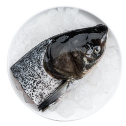 千岛鱼先生净膛后500g单片鳙鱼头