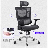 SITZONE 精壹 DS-362 人体工学电脑椅 黑色 标配版