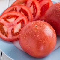 小汤山 北京 番茄 400g 基地直供新鲜蔬菜