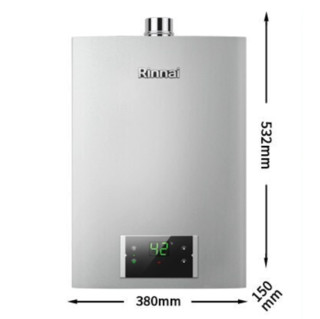 Rinnai 林内 澎湃芯系列 JSQ31-D32 燃气热水器 16L