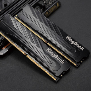 KINGBANK 金百达 黑爵战甲系列 DDR4 2666MHz 台式机内存 马甲条