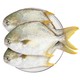 XIANGTAI 翔泰 冷冻海南金鲳鱼1.2kg /3-4条 ASC认证 海鱼 生鲜鱼类 海鲜水产
