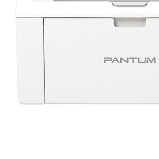 PANTUM 奔图 P2210W 黑白激光打印机