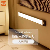 ZIT 智特 人体感应灯 充电款20cm