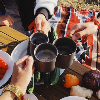 挪客（NatureHike）户外餐具钛杯钛碗野餐餐具纯钛折叠水杯可烧水便携式餐具 300ml钛杯（有盖）